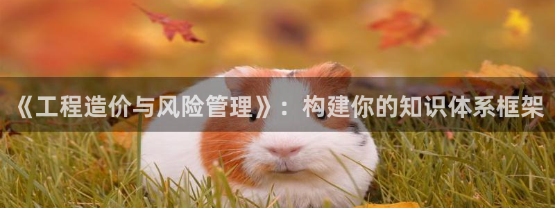 午夜小说性：《工程造价与风险管理》：构建你的知识体系框架
