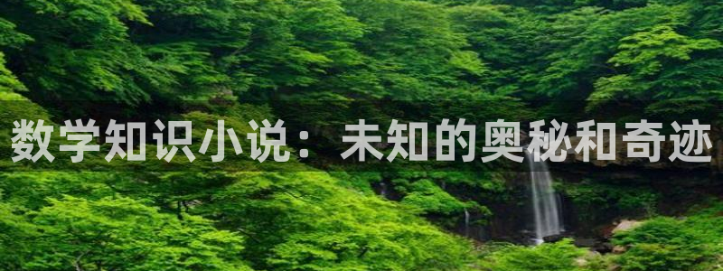 在线午夜小说：数学知识小说：未知的奥秘和奇迹