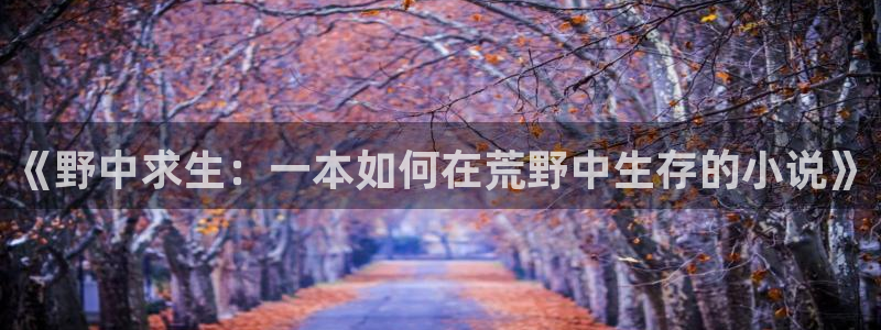 午夜小说阅读器：《野中求生：一本如何在荒野中生存的小说》