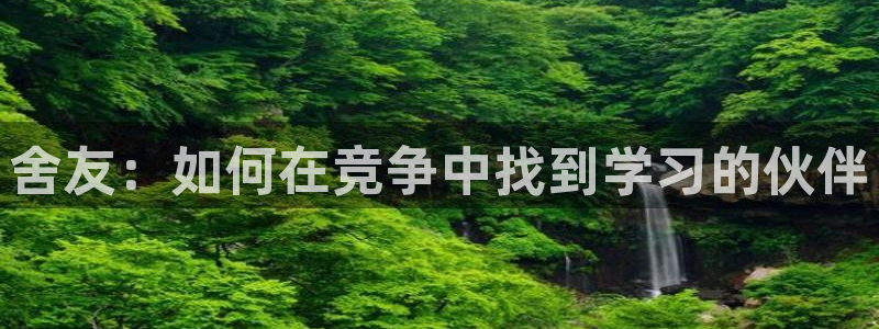 午夜小说免费阅读：舍友：如何在竞争中找到学习的伙伴